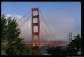 SANFRAN3.jpg (144495 bytes)